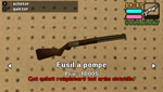 Fusil &agrave; pompe